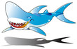 shark サメ 鮫
