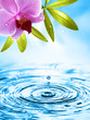 Erfrischendes Wellness Motiv Erfrischendes Wellness Motiv