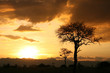 African Sunset. Tanzania, Africa African Sunset. Tanzania, Africa