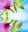 Wellness Motiv mit Spiegelung