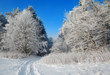winter landscape winter landscape