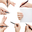 Female hands,collage, isolated on white background