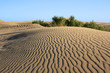 dune with wonderful texture with green bushes. Gran Canaria