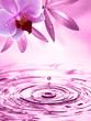 Erfrischendes Wellness Hintergrund Erfrischendes Wellness Hintergrund