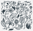 Hand drawn flowers