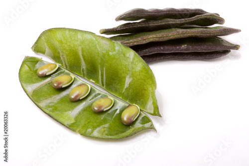 Photo: Indian Bean Indian Bean