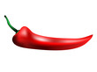 illustration of red hot chili pepper