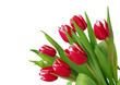 Tulpenstrauß Tulpenstrauß
