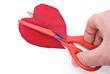 Cut up heart