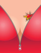 Vector: Sensual cleavage with heart tattoo Sensual cleavage with heart tattoo