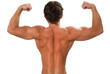 Young muscular man showing a biceps and back. isolated on white