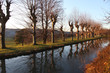 Photo: Reflection of nature Reflection of nature