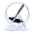 little mouse on an exercise wheel