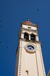 Birds and Greek Clock Tower