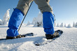 Man with snowshoes