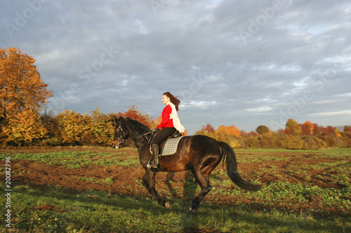 Photo: Gallop Gallop
