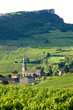 Vergisson with vineyards, Burgundy, France Vergisson with vineyards, Burgundy, France