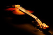 Vintage violin. Vintage violin.