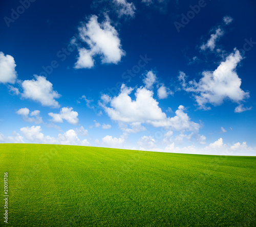 Photo: field of grass and perfect blue sky field of grass and perfect blue sky