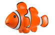 Foto: Oranger Clownfisch Oranger Clownfisch