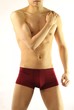 Male muscle body