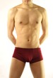 Male muscle body