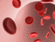 red blood cells