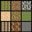 Animal Skins (fur giraffe zebra crocodile snake turtle leopard)