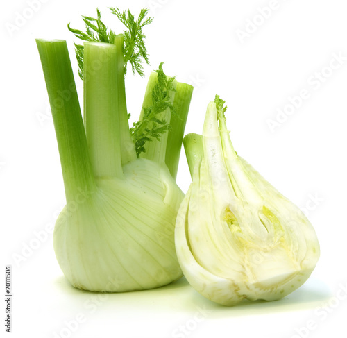 Foto: Fennel Fennel