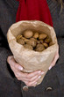 A woman holding a bag full of mixed nuts