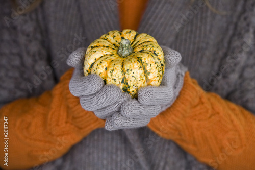 Photo: A woman holding a small pumpkin, close-up A woman holding a small pumpkin, close-up