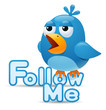 Twitter bird - Follow Me Twitter bird - Follow Me