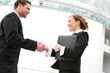 Photo: Business Team Handshake Business Team Handshake