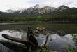 Foto: Pyramide Lake, Jasper, Canada Pyramide Lake, Jasper, Canada