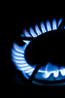 Blue gas flame on the hob