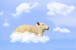 Schaf in den Wolken