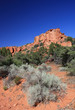 American desert