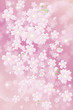 桜のパターン