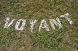 voyant