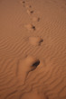 Spuren im Sand