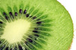 Kiwi Detail