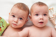 babies with toys
