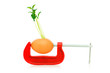 ����: Strength concept with egg and clamp on white � Elnur #20160589