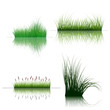 grass on water