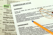 Curriculum Vitae  Form