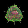 Illustration: Amoeba Amoeba