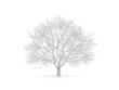 Tree.