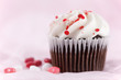 Delcious Cup Cake Against a Light Pink Background
