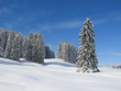 Winterlandschaft