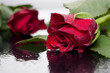 Photo: Rose_1 Rose_1